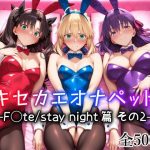 キセカエオナペット -F◯te stay night篇 その2-｜【愛玩ファクトリー】