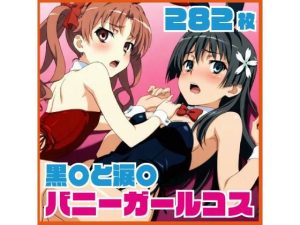 黒〇と涙〇 バニーガールコス 282枚｜【SilkyMoment】